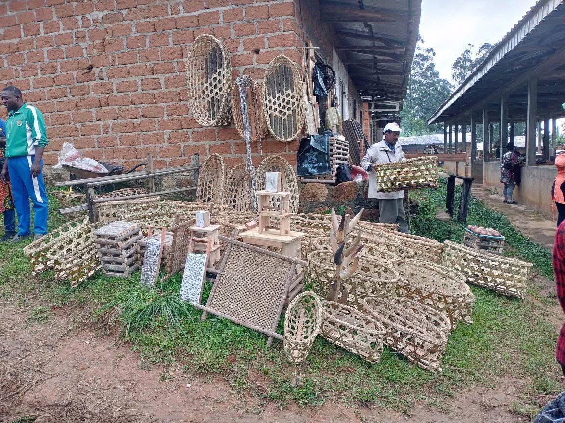 WhatsApp Image 2025-11-11 at 7.26.28 PM