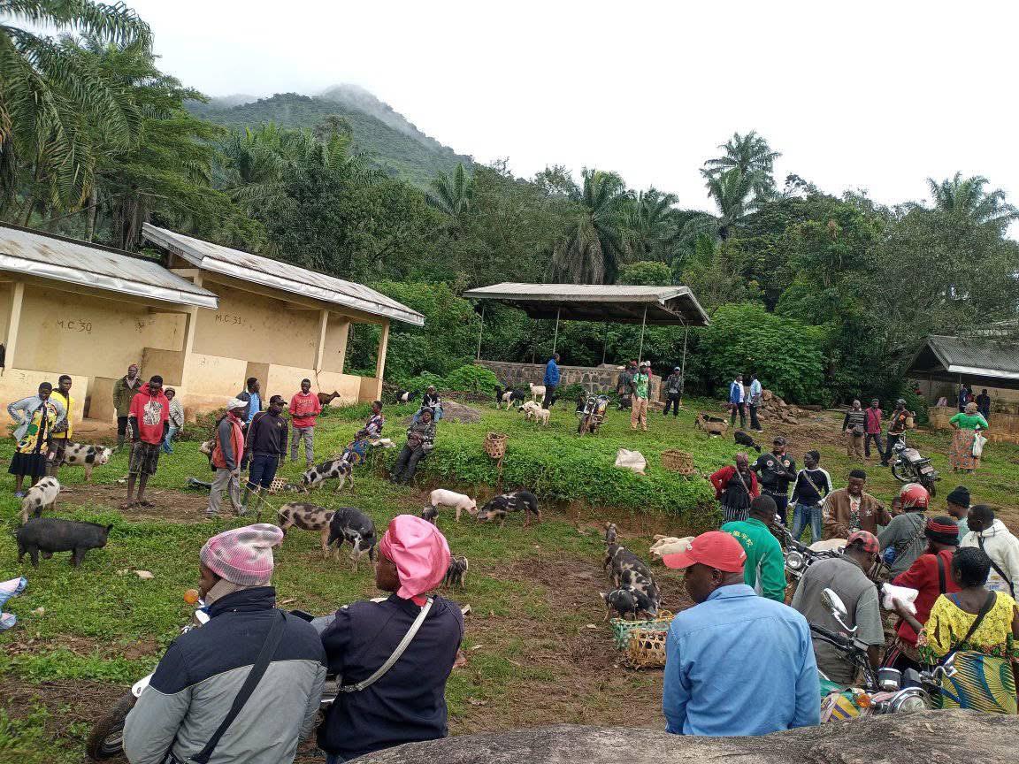 WhatsApp Image 2025-11-11 at 7.26.31 PM